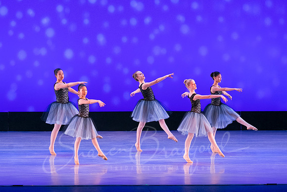 Evening Dances Ballerinas pc Sharen Bradford-0753