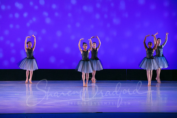 Evening Dances Ballerinas pc Sharen Bradford-0754