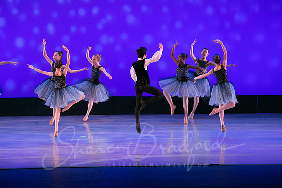 Evening Dances Ballerinas pc Sharen Bradford-0756