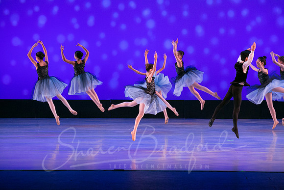 Evening Dances Ballerinas pc Sharen Bradford-0759