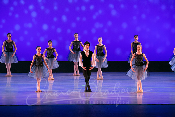 Evening Dances Ballerinas pc Sharen Bradford-0761