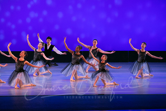 Evening Dances Ballerinas pc Sharen Bradford-0766