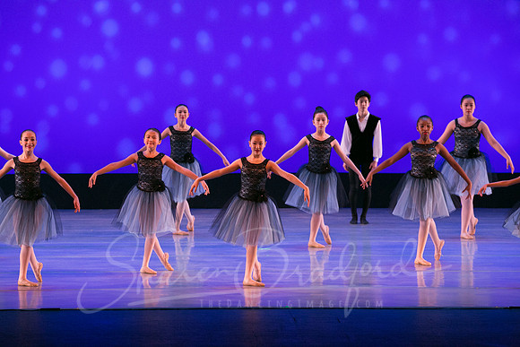 Evening Dances Ballerinas pc Sharen Bradford-0770
