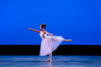 La Sylphide pc Sharen Bradford-1005