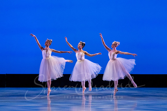 La Sylphide pc Sharen Bradford-1015