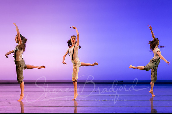 Reflections-3521