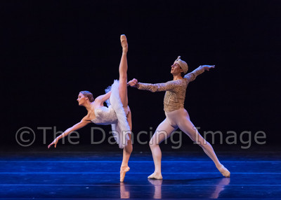 TITAS CP 2014 La Bayadere-0108