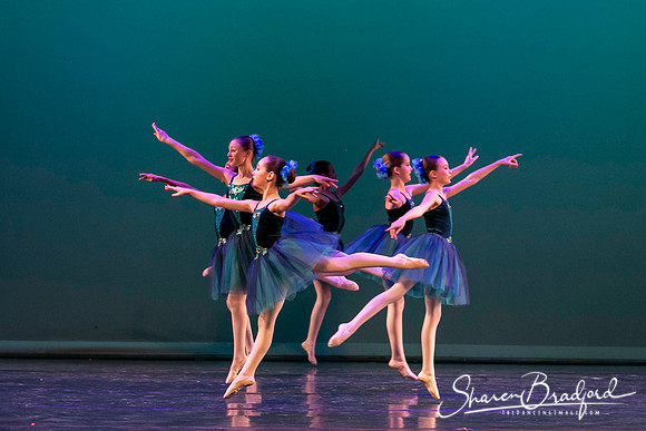 Khachaturian Waltz pc Sharen Bradford-3644