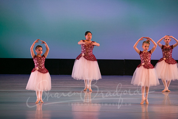 Spring Blossoms-1426