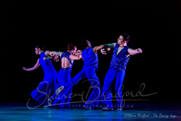 Following Echoes - pc Sharen Bradford-0813