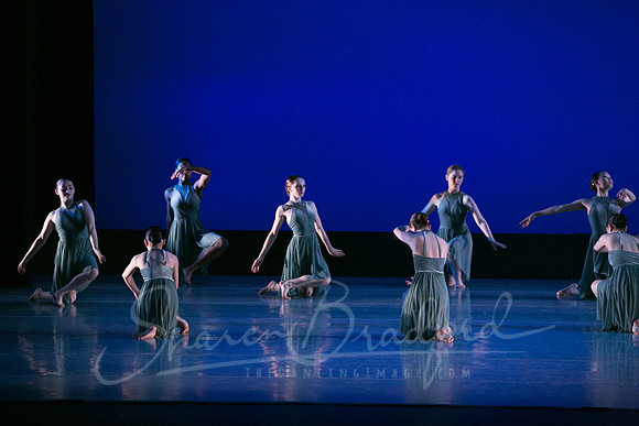 Nomadic Pulse-2008