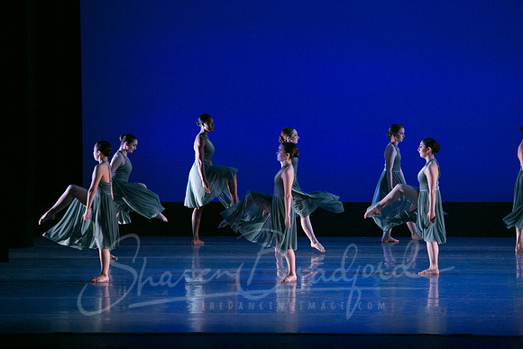 Nomadic Pulse-2012