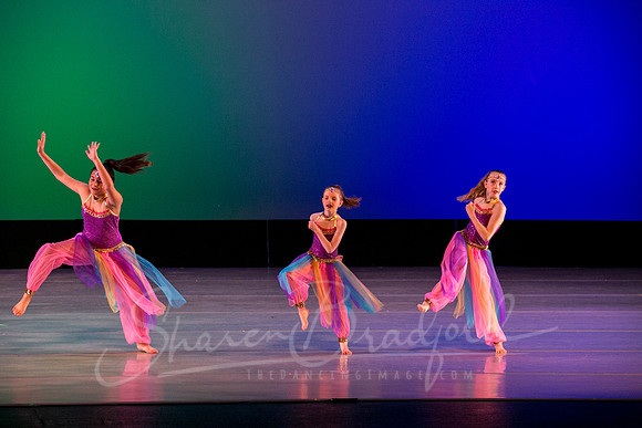 Aladdin-2331