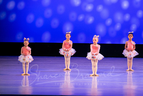 Gum Ball Ballerinas-3800