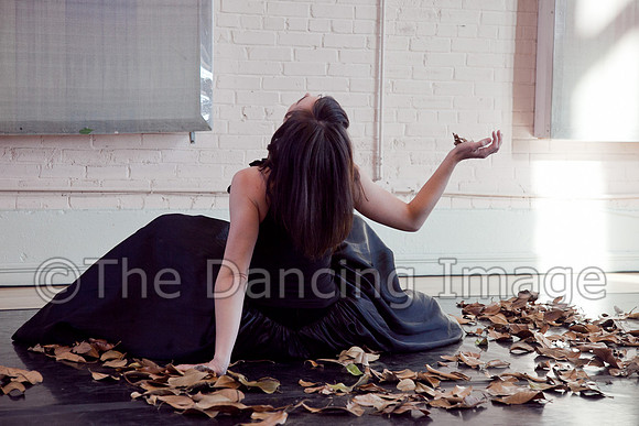 Surrender-0116