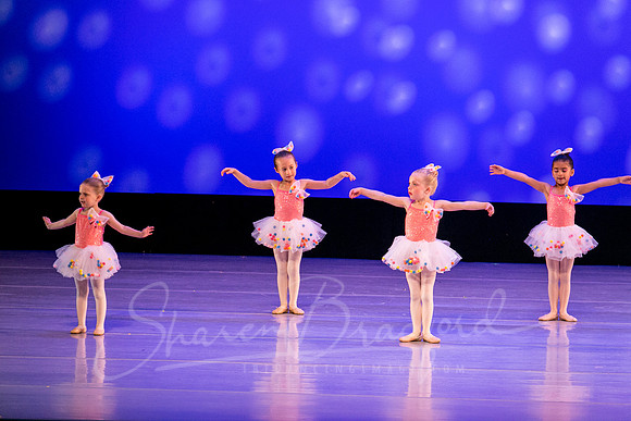 Gum Ball Ballerinas-3810