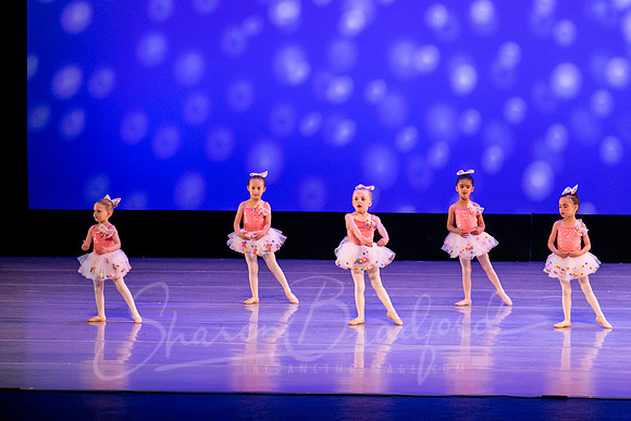 Gum Ball Ballerinas-3823