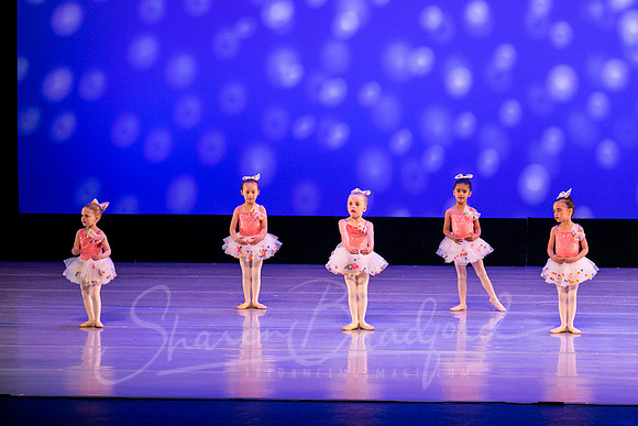 Gum Ball Ballerinas-3824