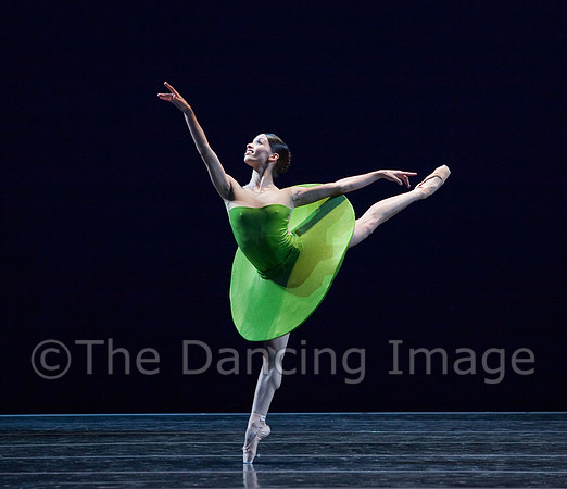 Vertiginous 5-19-10-0075