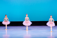 Swan Lake Lillies-3884
