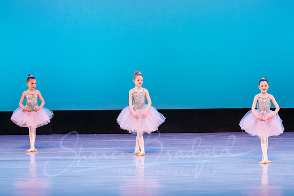 Swan Lake Lillies-3884