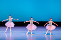 Swan Lake Lillies-3885