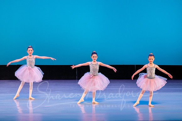 Swan Lake Lillies-3885