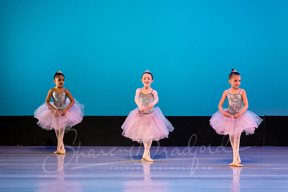 Swan Lake Lillies-3889
