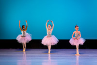 Swan Lake Lillies-3890