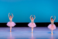 Swan Lake Lillies-3893