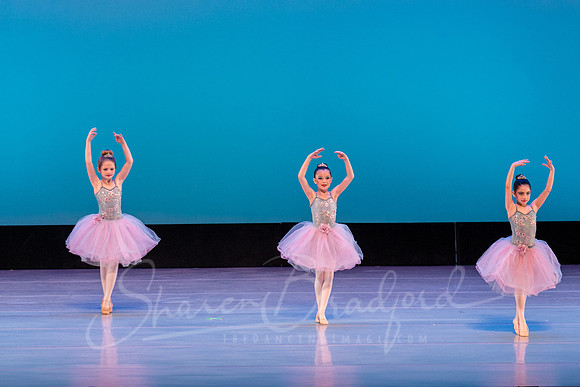 Swan Lake Lillies-3893
