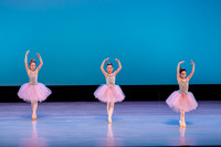 Swan Lake Lillies-3894