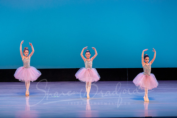 Swan Lake Lillies-3894