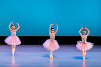 Swan Lake Lillies-3895
