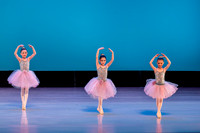 Swan Lake Lillies-3897