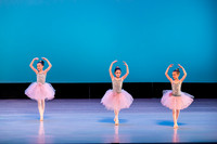 Swan Lake Lillies-3898