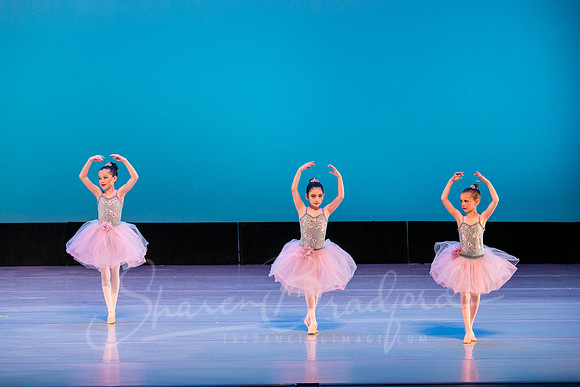 Swan Lake Lillies-3898