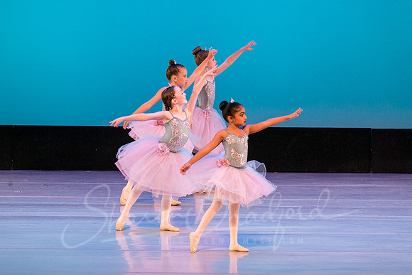 Swan Lake Lillies-3912