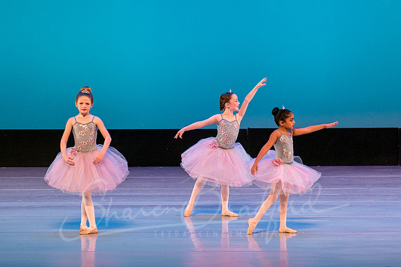 Swan Lake Lillies-3923
