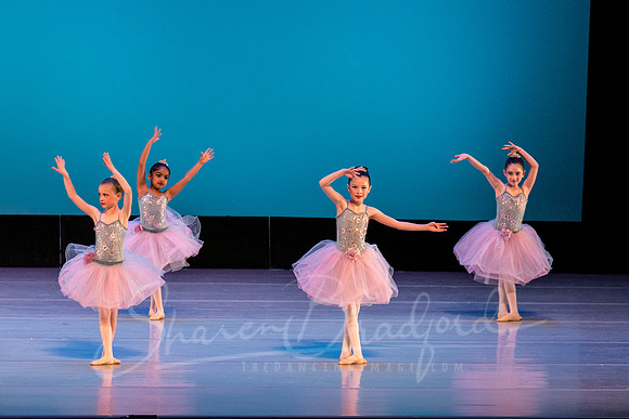 Swan Lake Lillies-3926