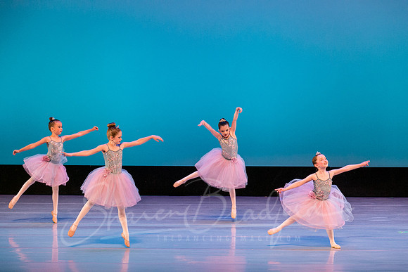 Swan Lake Lillies-3929