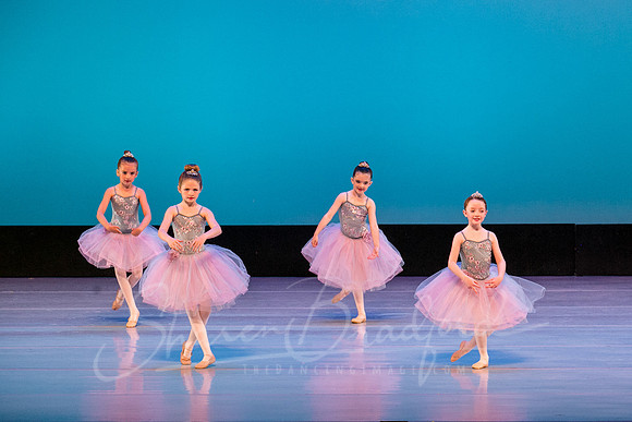 Swan Lake Lillies-3937