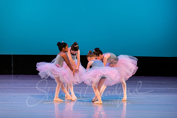 Swan Lake Lillies-3941