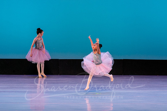 Swan Lake Lillies-3950