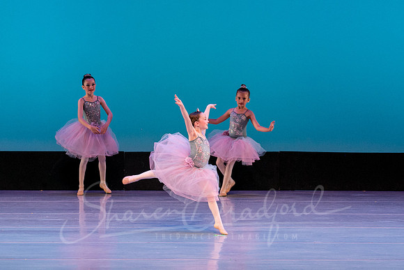 Swan Lake Lillies-3951