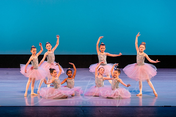 Swan Lake Lillies-3958
