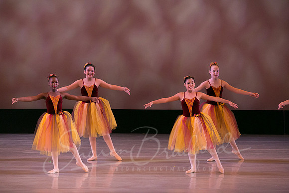 Autumn Leaves-4172