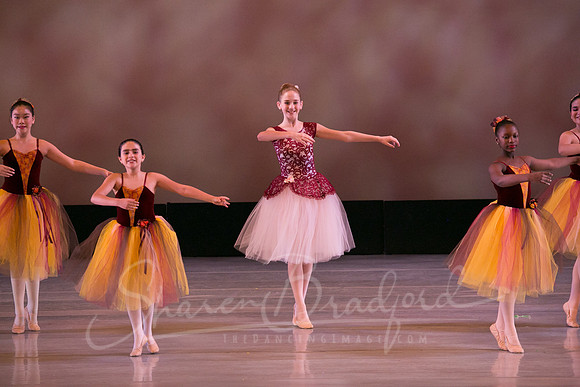 Autumn Leaves-4182