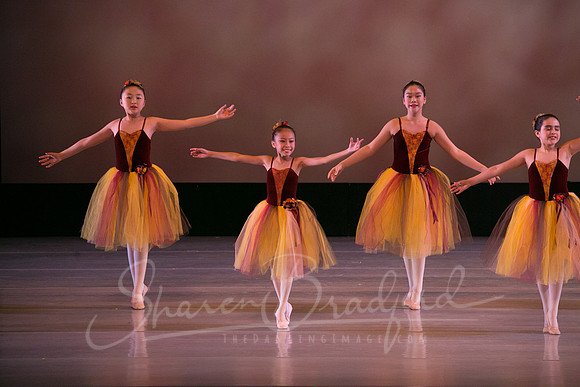 Autumn Leaves-4190