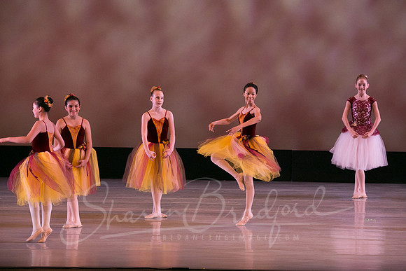 Autumn Leaves-4198